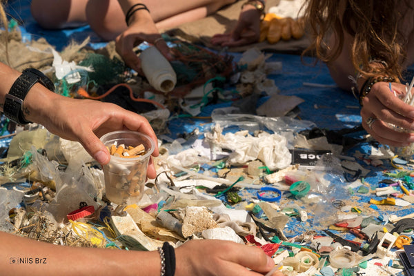 Dechets plastiques collectes sur la plage